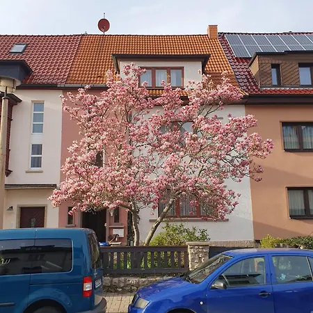 Thomas Szramek Apartamento *