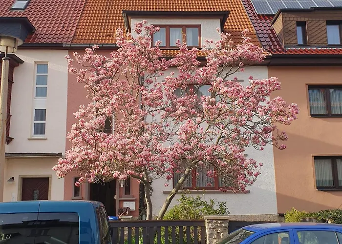 Thomas Szramek Daire *